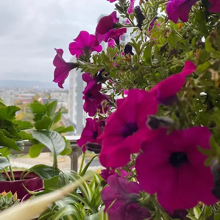Les Meublés Les Dômes Du Parc Appartement Clermont-Ferrand