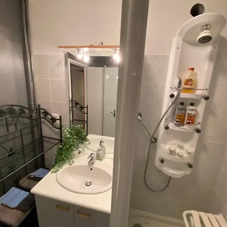 Les Meublés Les Dômes Du Parc Appartement