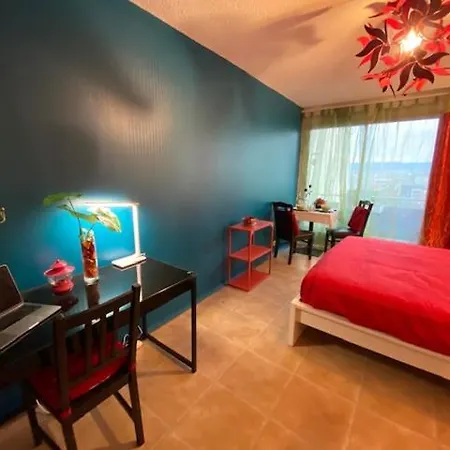 Les Meublés Les Dômes Du Parc Appartement *
